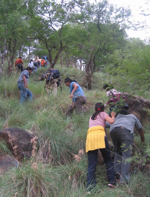 Trekking up the hill